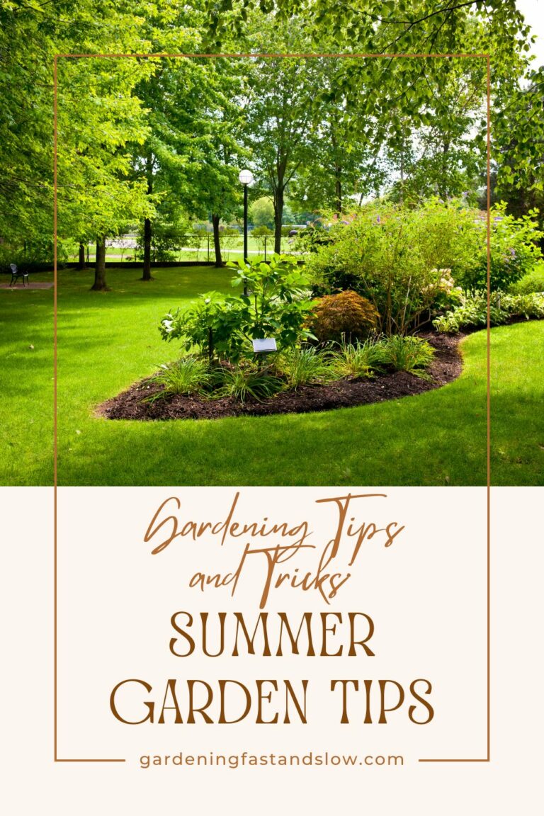 Embrace the Season: Essential Summer Gardening Tips