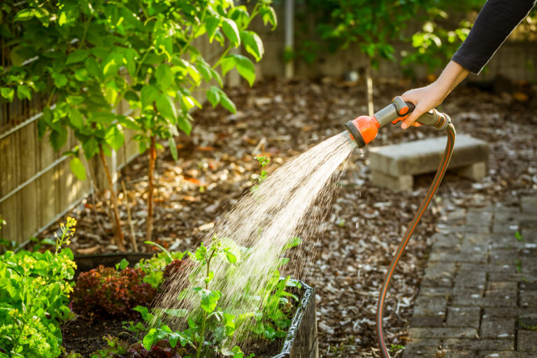 Watering Wisely: Essential Tips for a Thriving Garden