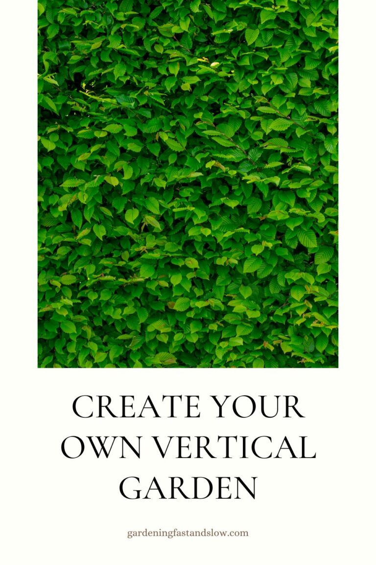 Creating a Vertical Garden: Your Comprehensive Project Guide