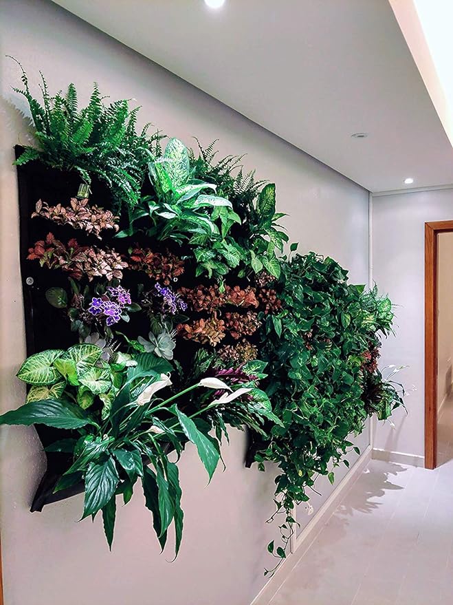 Maintaining Your Green Wall