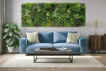 Creating Instant Green Walls