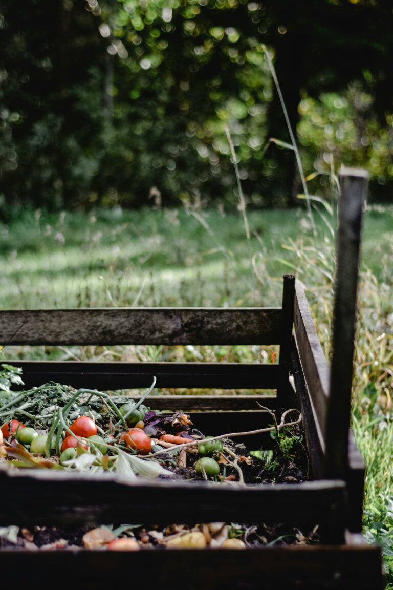 Regenerative Gardening: How to Improve Your Soil and Boost Plant Health Naturally