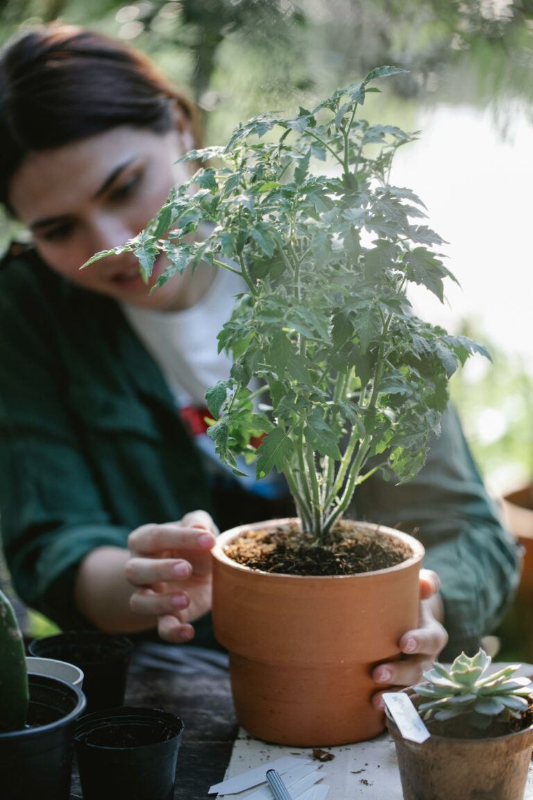 Fast Gardening Techniques for Quick Results