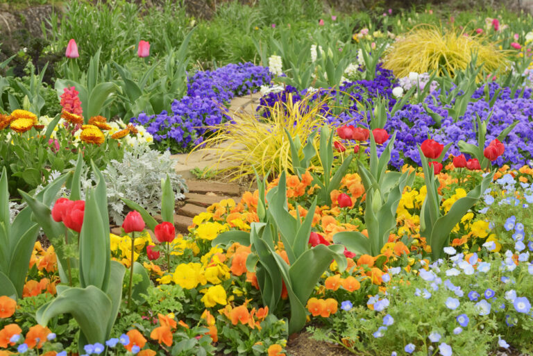 Vibrant gardening