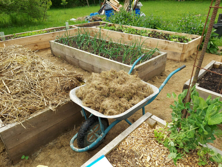 Gardening Hacks for Busy Gardeners