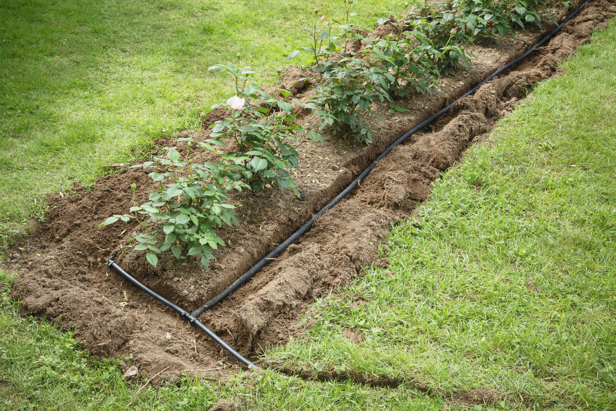 Using Soaker Hoses for Efficient Garden Watering