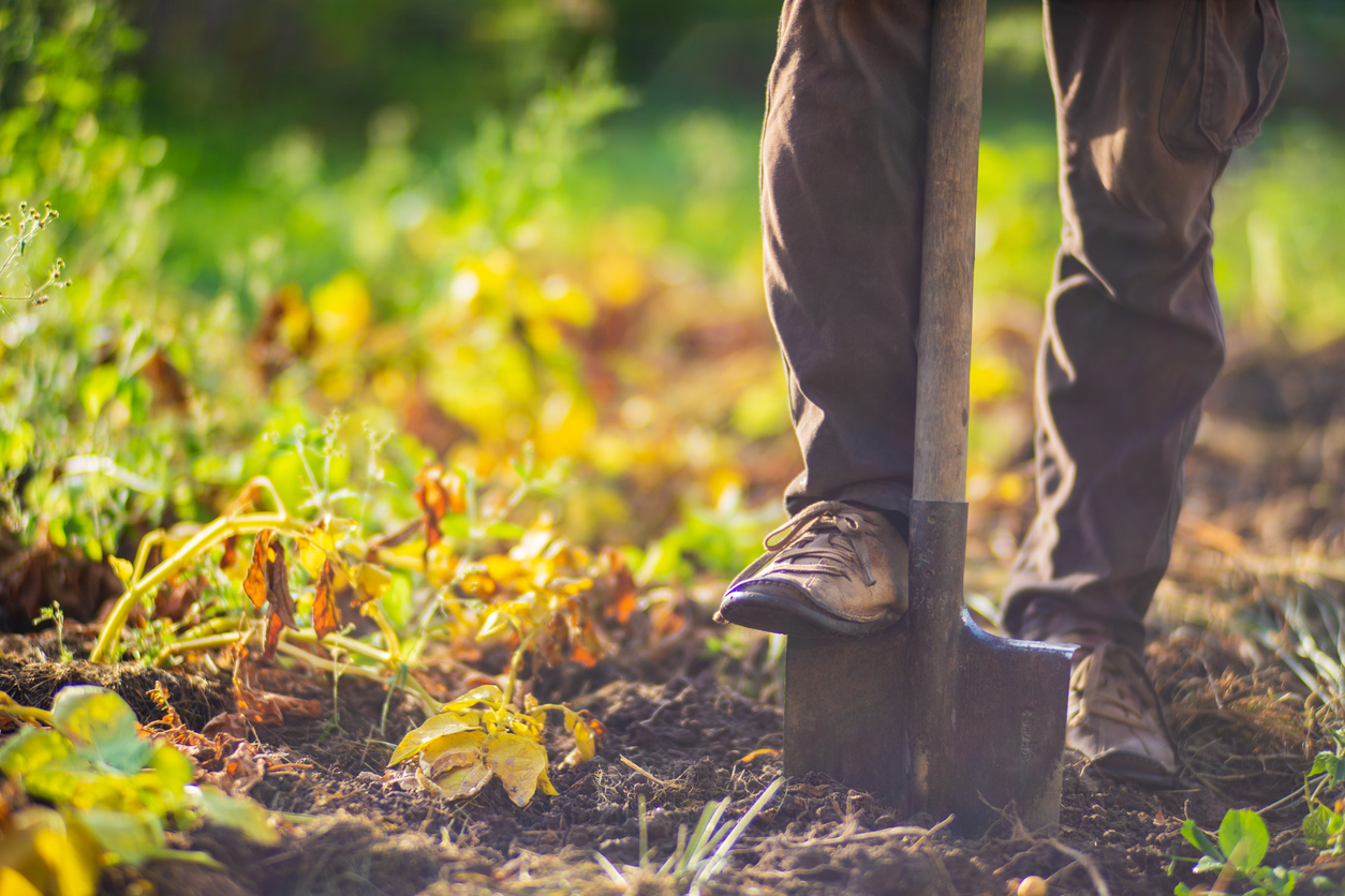 Fall Garden Preparation: Essential Steps to Get Ready for Next Year’s Growing Season