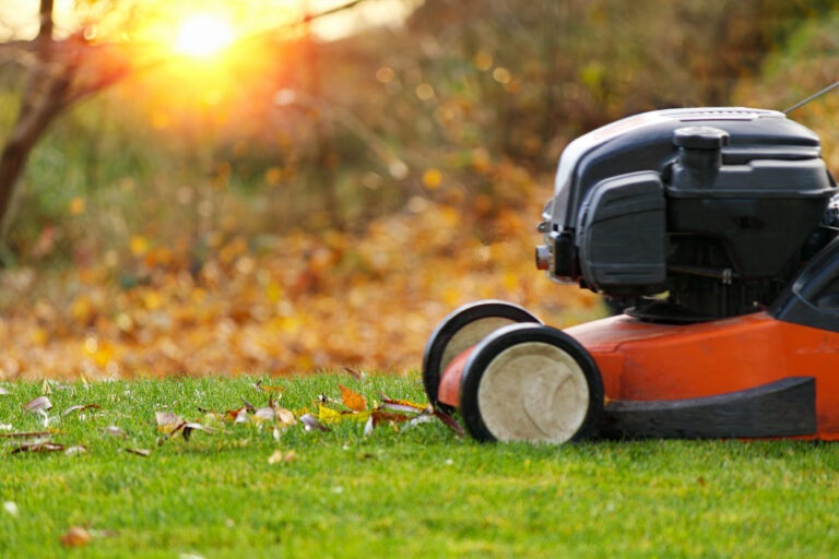 How to Repair Your Lawn Late in the Season: A Complete Guide