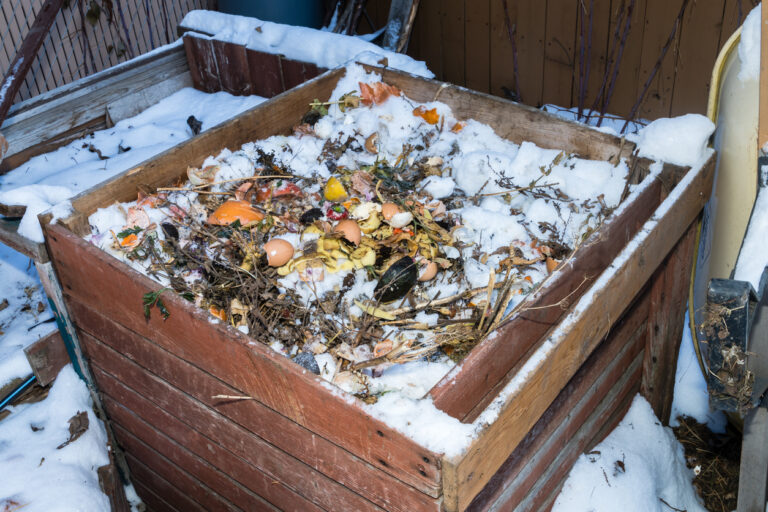 Composting in Winter: Keeping Your Pile Active